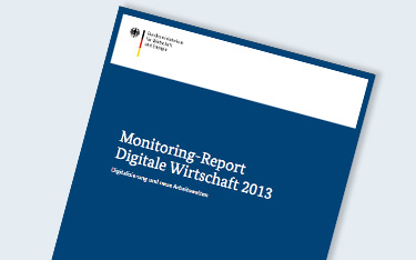 ‚Monitoring-Report Digitale Wirtschaft 2013‘